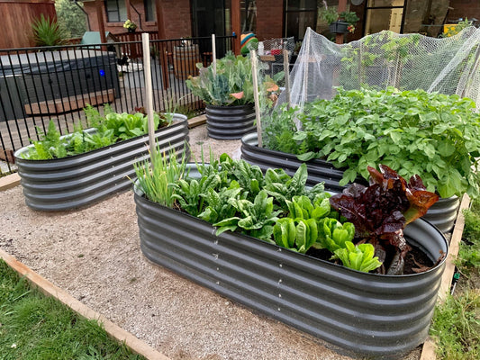 Garden Beds for Growing your delicious Vegetables